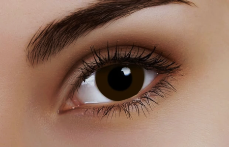 Extra dark brown 002