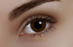 dark brown 002