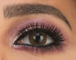 Clear Vision, Brown